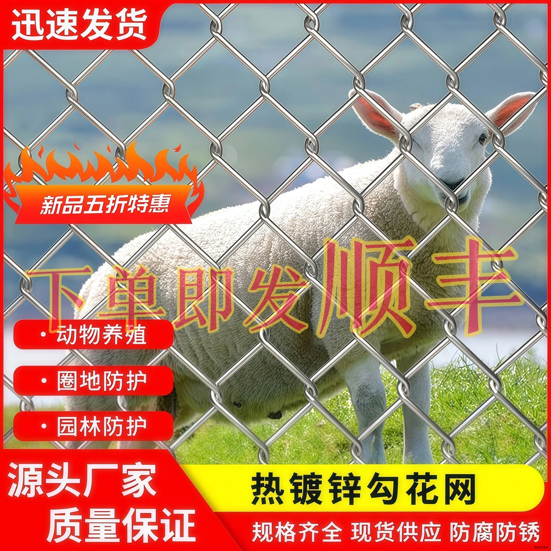 热镀锌铁丝网鸡鹅围栏铁网格网钢丝网勾花网养殖鸡鹅果园防护栏