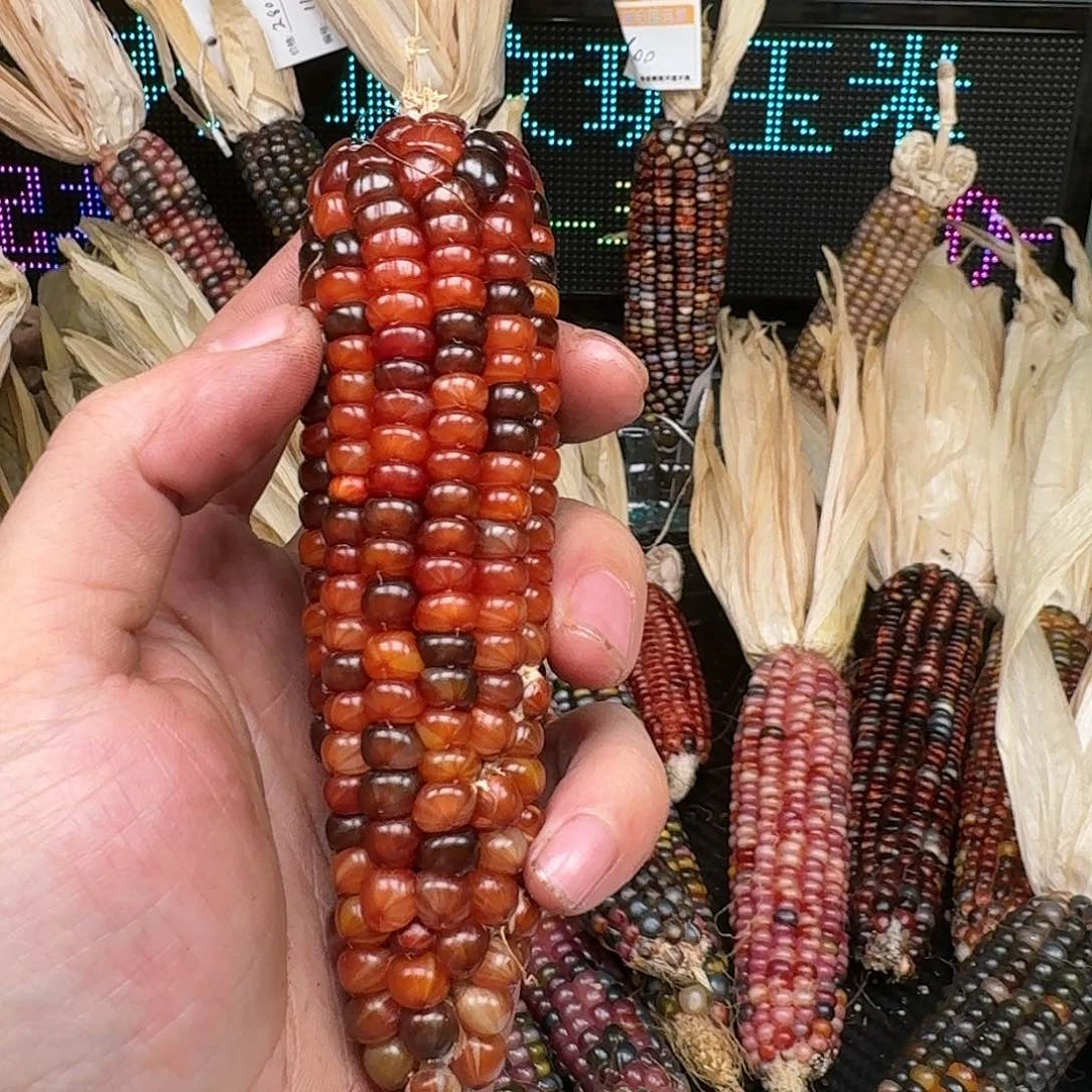 柏香籽/百香籽吊坠一*。