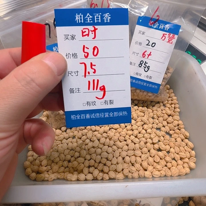 ?**?柏香籽散子 111 克散子