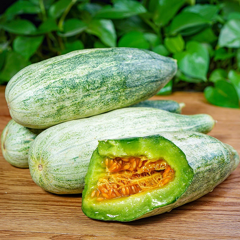 产地直发头茬新鲜应季现摘整箱正宗蜜瓜甜瓜蜜脆羊角蜜