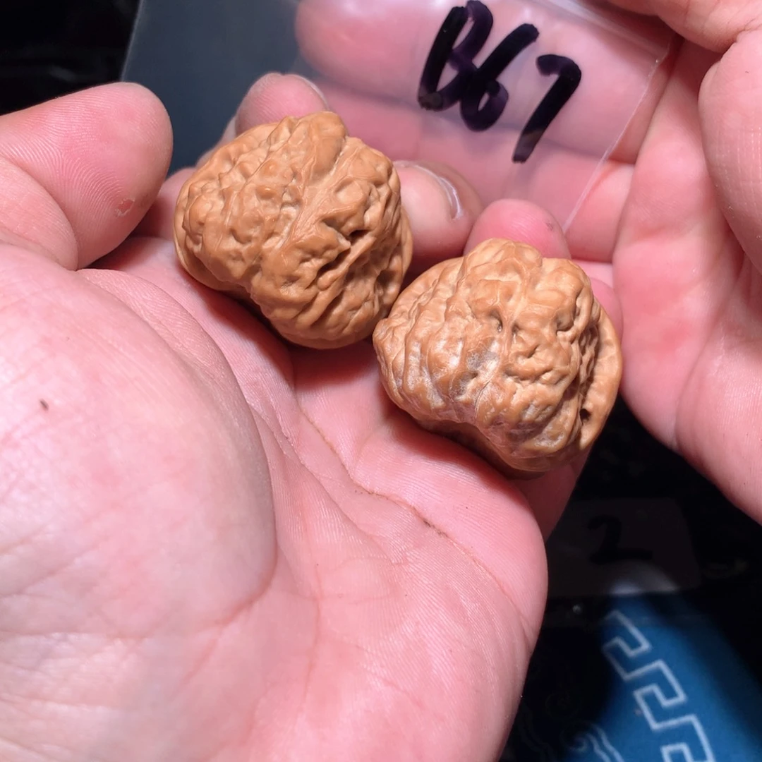 文玩核桃吊坠一****啊蛤蟆 b67