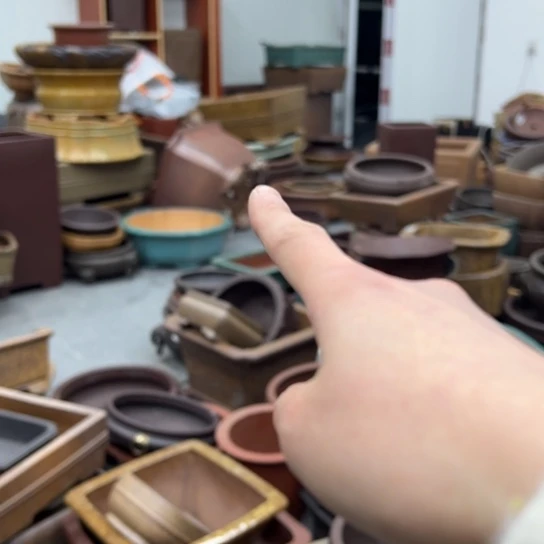 随***安紫砂花盆里放上香油