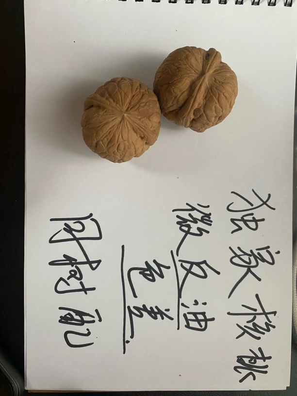 （开业专享）小马独家文玩核桃小众默认反油