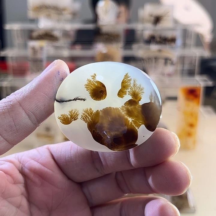 未镶嵌吊坠(不含链)玛瑙/玉髓