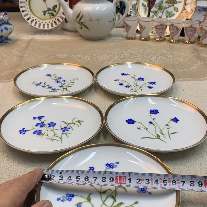瓷片哈哈哈哈哈哈
