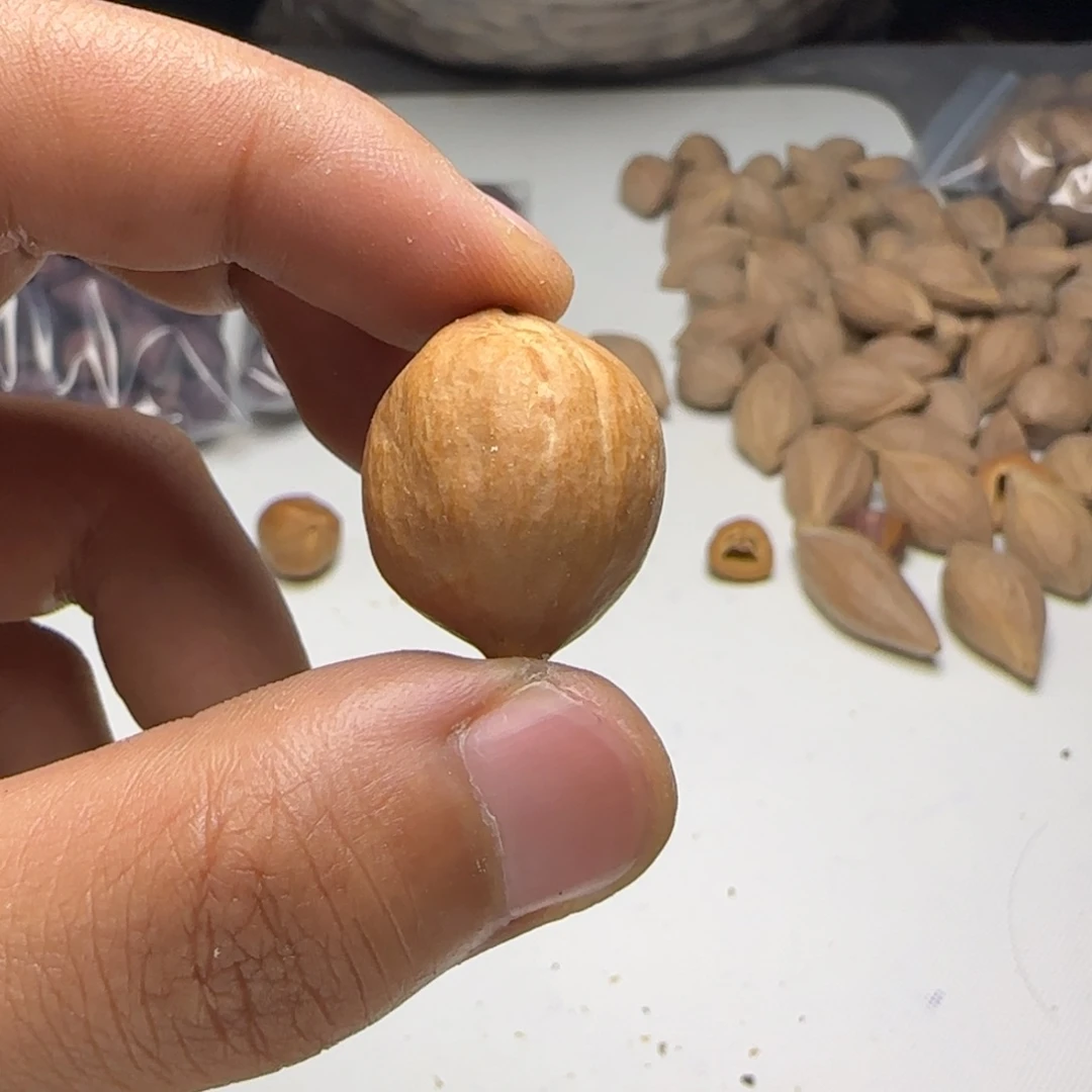 【闪购商品】橄榄核手串/手链111111111111