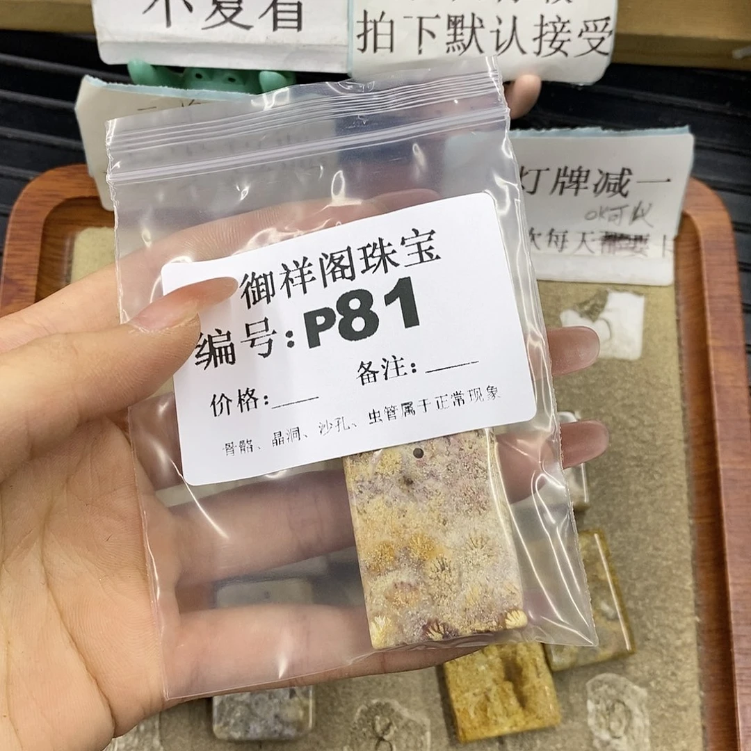 硅化珊瑚（珊瑚玉）未镶嵌颈饰焯*