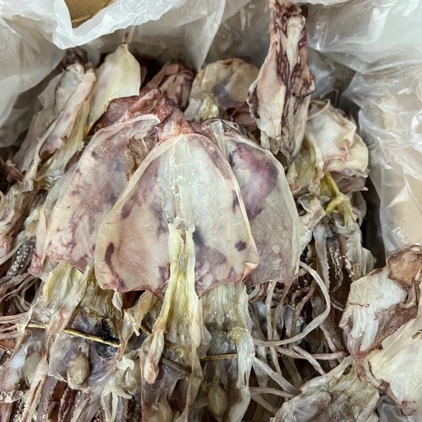 捡漏特产鱿鱼干煲汤炒菜优质海鲜食材营养丰富