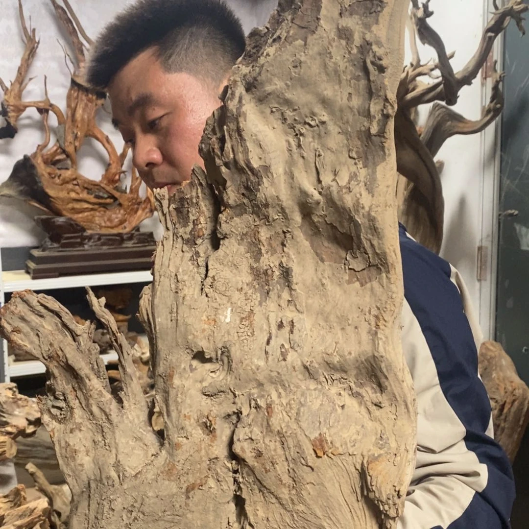 柏木仟*我们都是好孩子