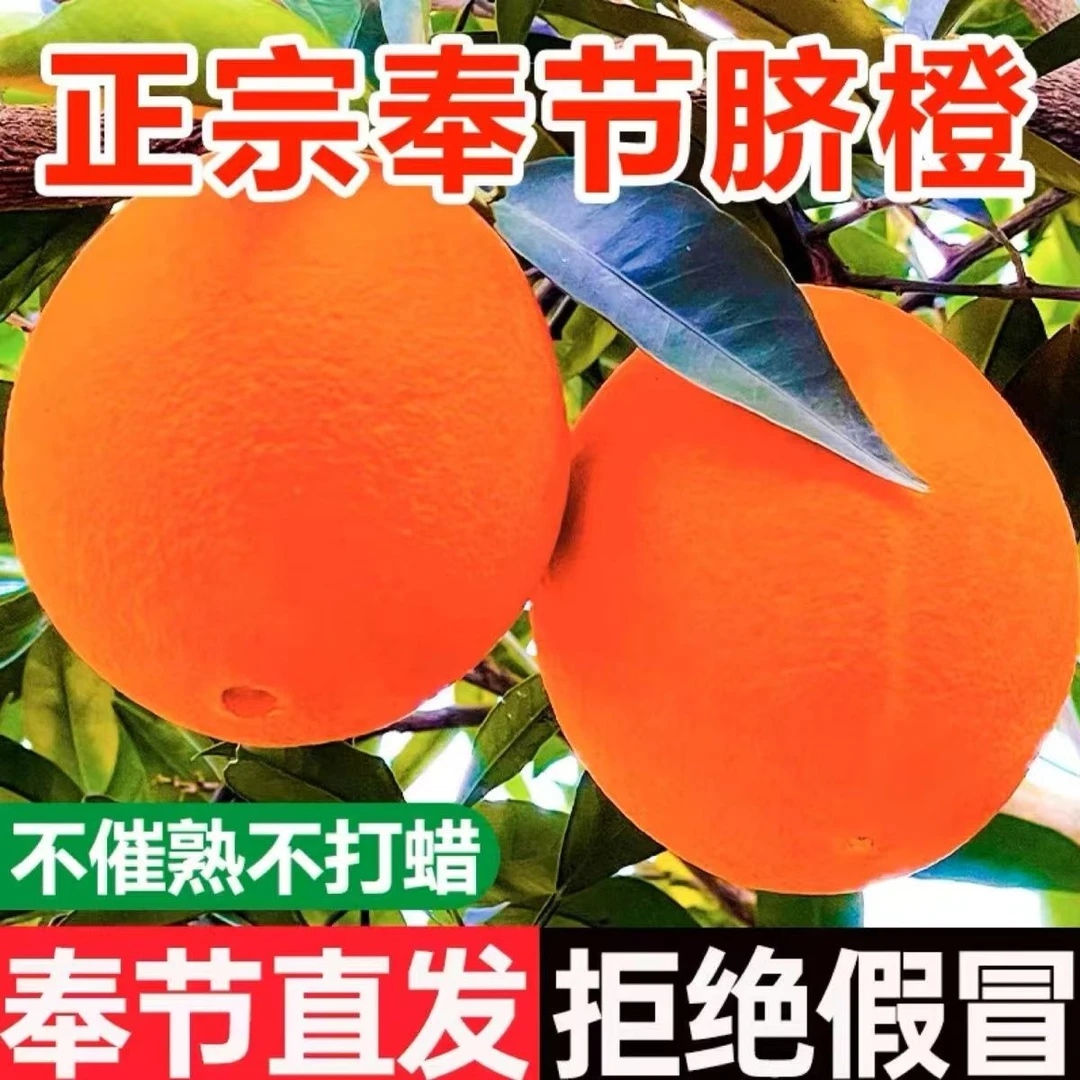 【找划算专属】奉节脐橙5斤现摘现发新鲜水果包邮