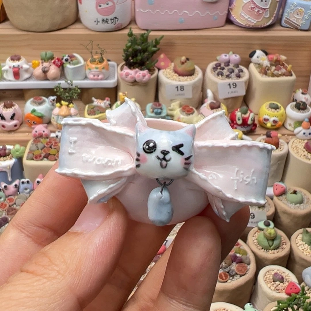 杰***哥多肉植物93号单独盆