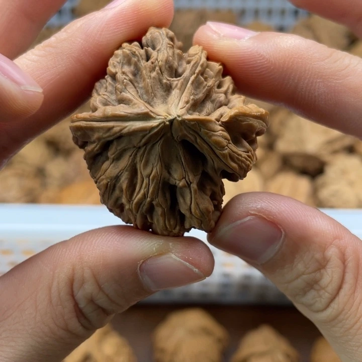 田***半吊坠文玩核桃39白狮子