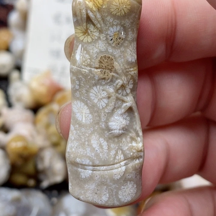 颈饰未镶嵌硅化珊瑚（珊瑚玉）