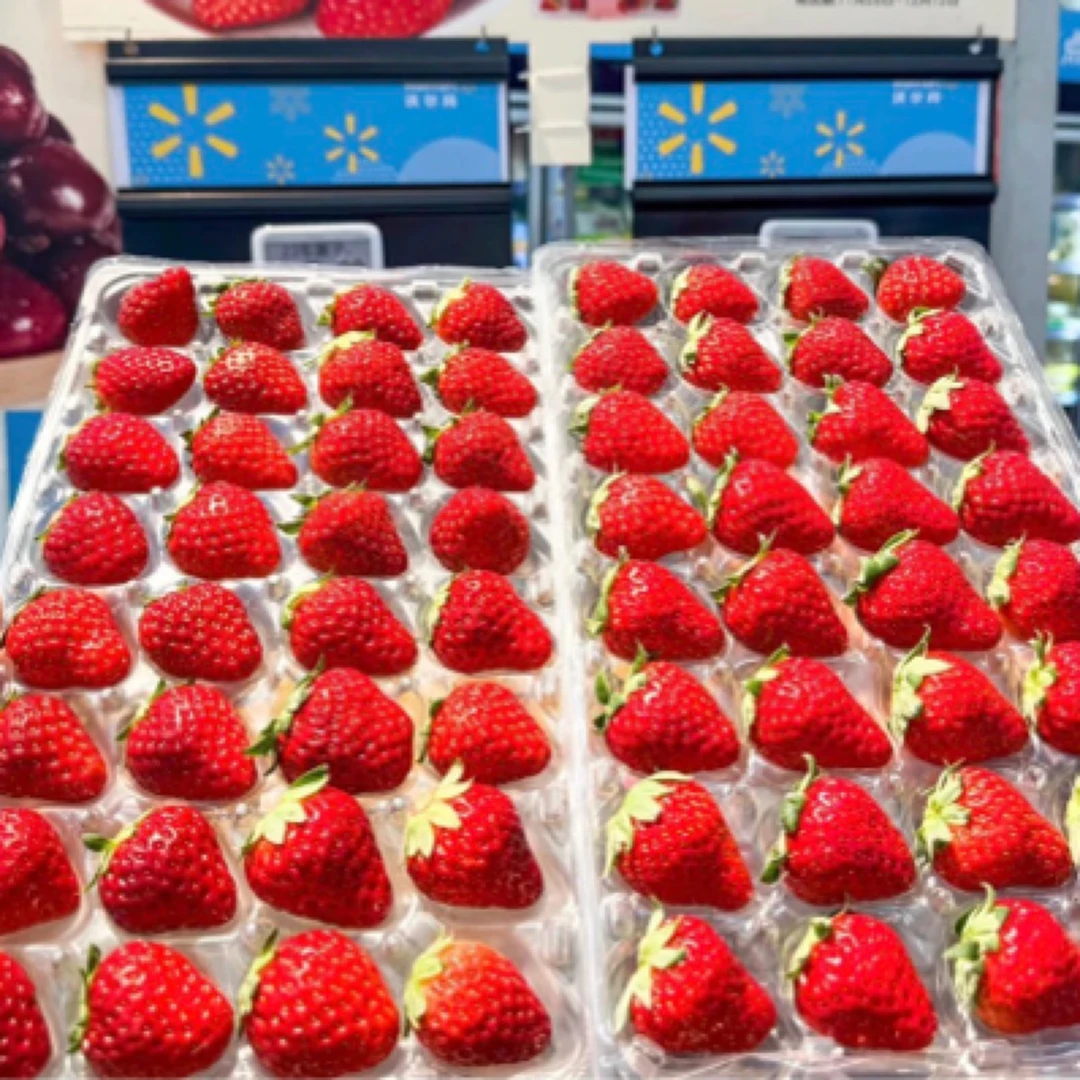 丹东香甜甜宝草莓一斤装
