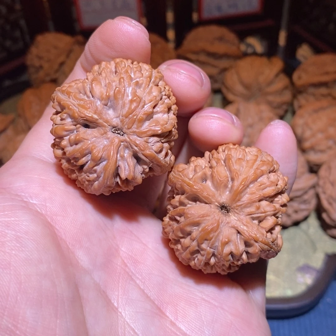 36尺 全品白茬 大蒜头