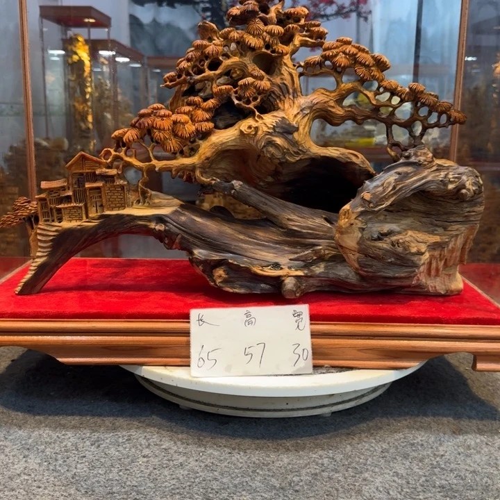 無***劍柏木（崖柏）崖柏1111111