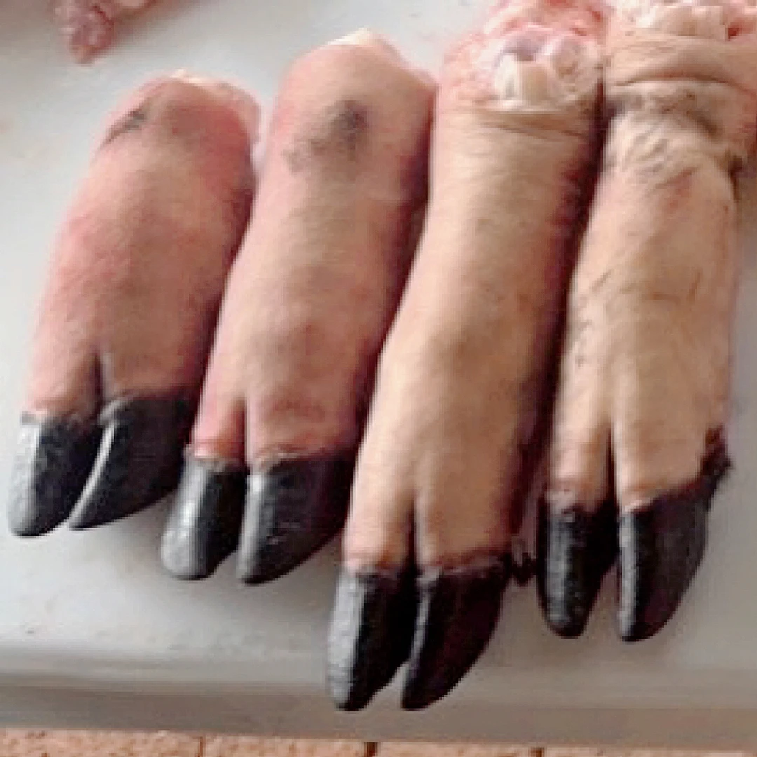 东北拉法山下黑猪  前蹄后蹄