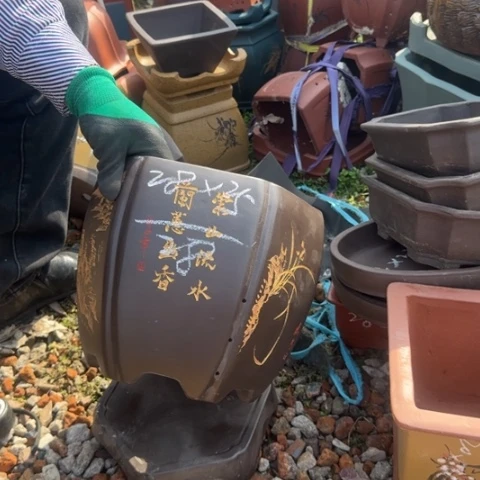 紫砂花盆紫砂花盆盆景盆栽