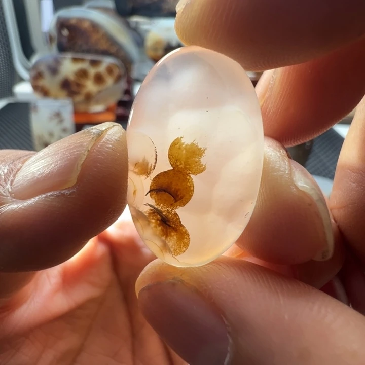 未镶嵌玛瑙/玉髓珠宝奇石