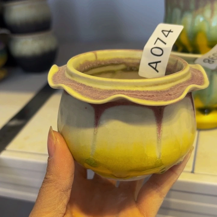 景德镇陶瓷研究所