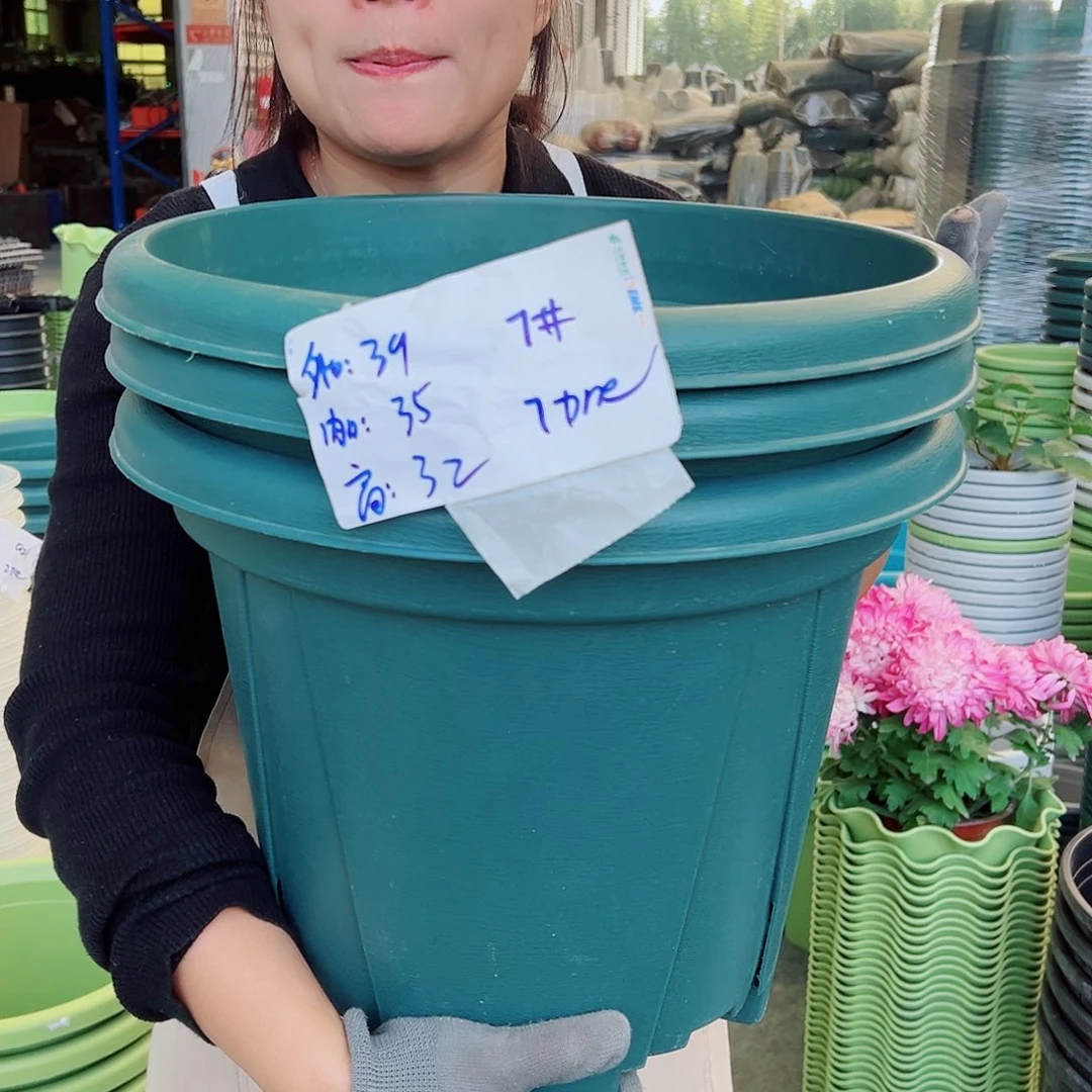 青山盆7#墨绿色5个无托