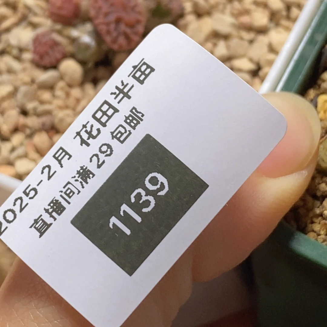 11139/优选超烧11139/优选超烧