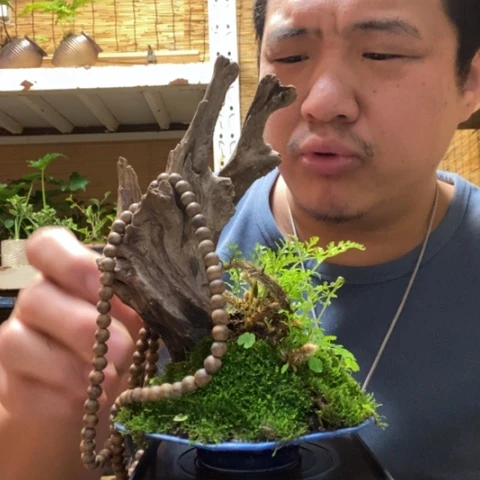 红陶白*.一物一拍所见即所得94