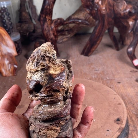 黄花梨/降香黄檀刘*