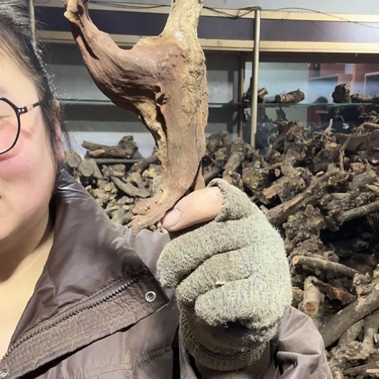 香榧木啊*火琉璃的毛料摆件