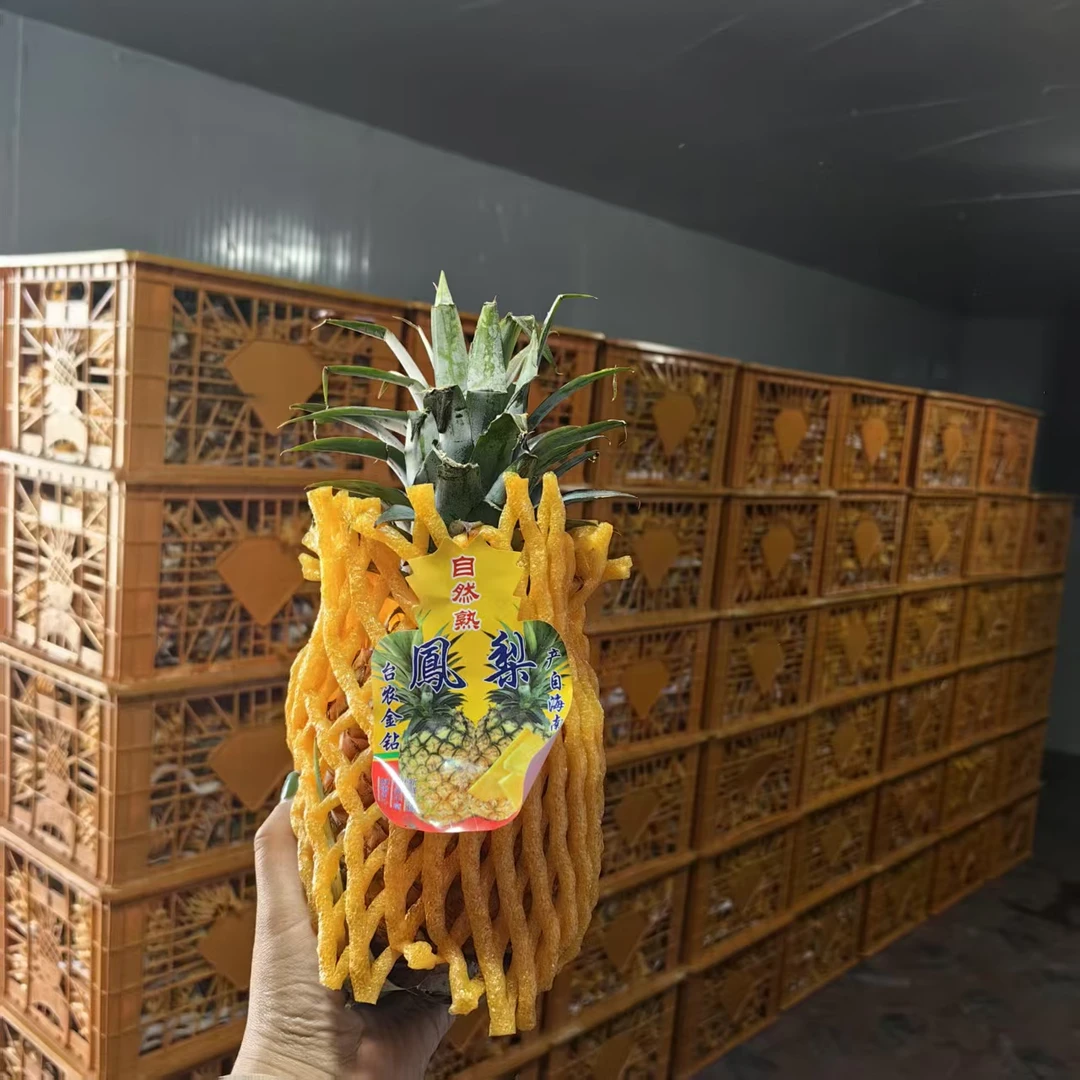 自然熟金钻凤梨9.9元两个,一个约1斤