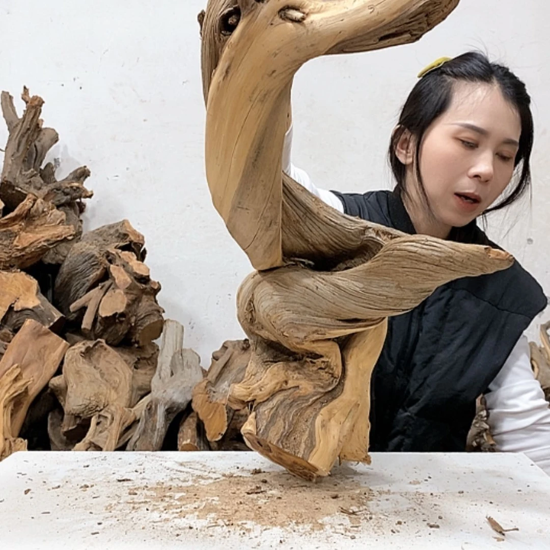 【闪购商品】柏木王*強我们都是好孩子