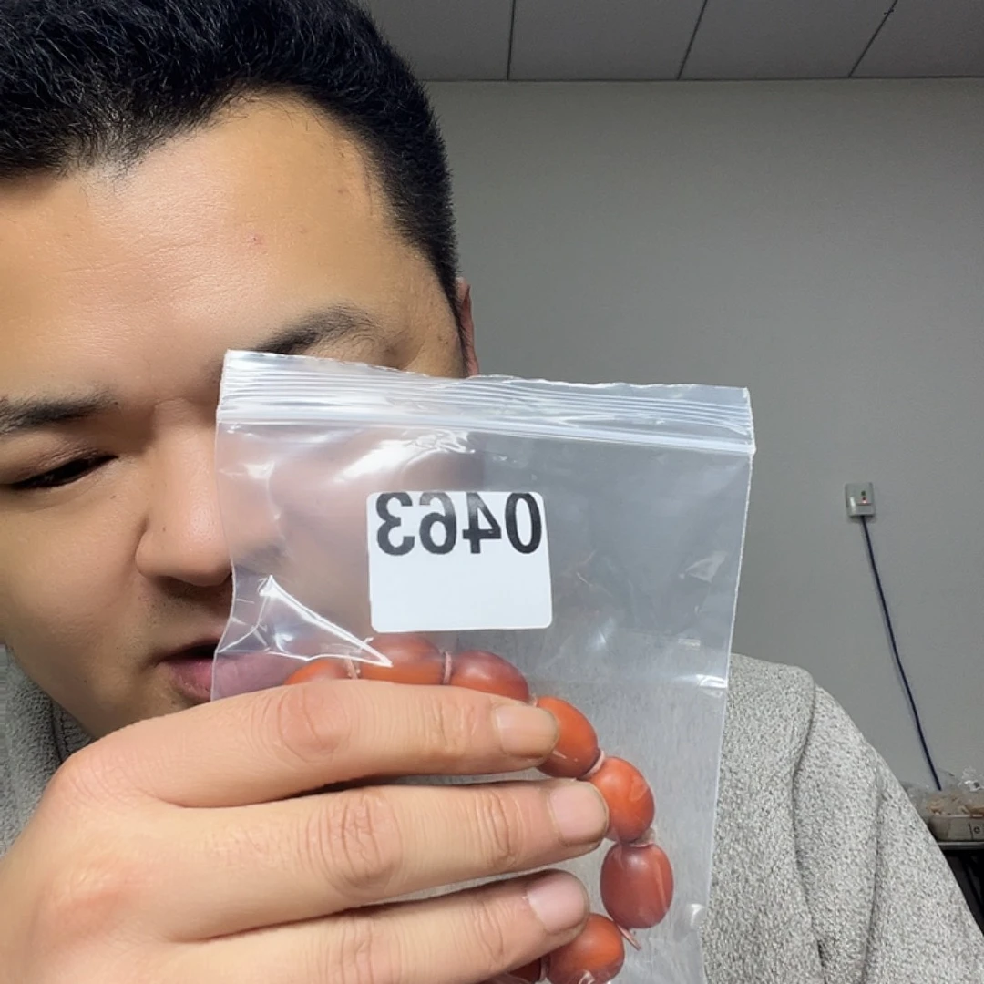 大果紫檀（缅甸花梨）0463