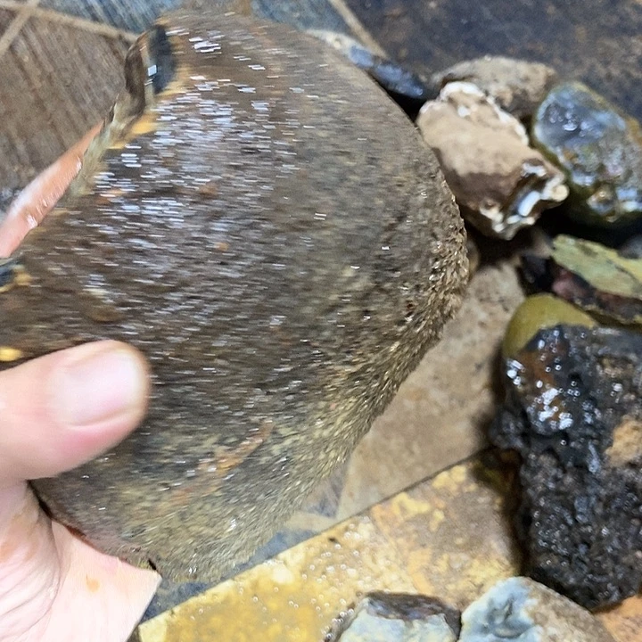 沈***9定制玛瑙玛瑙手镯