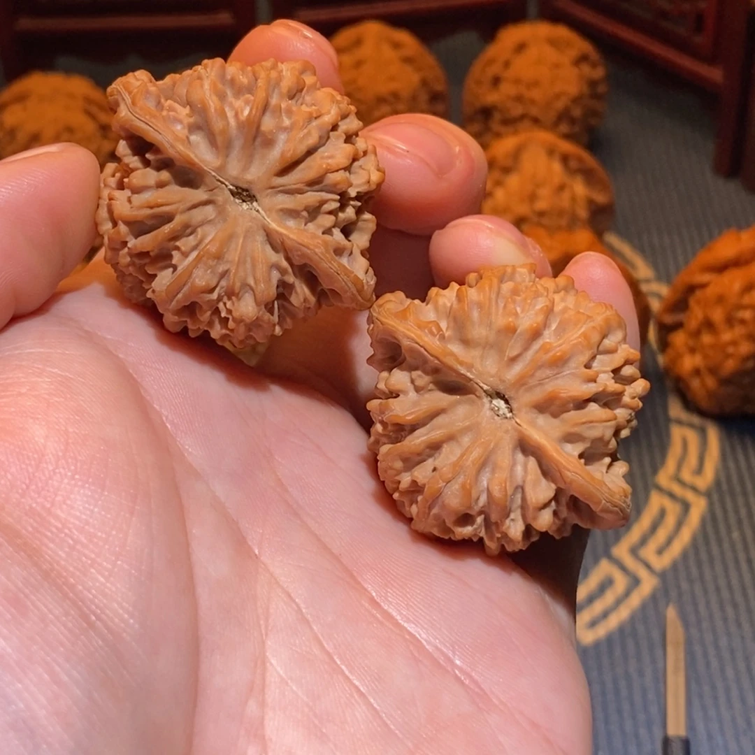 42尺 全品白茬 满天星