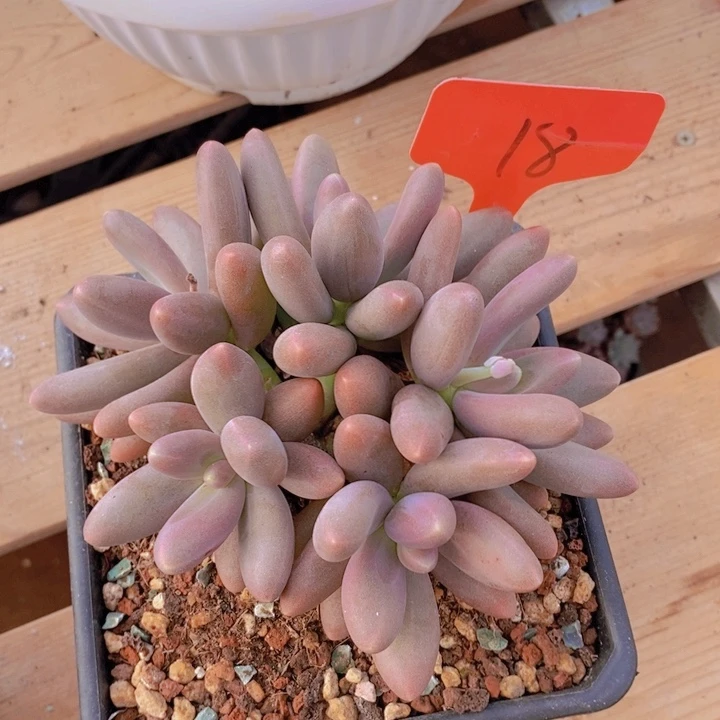 这么多事的发生和