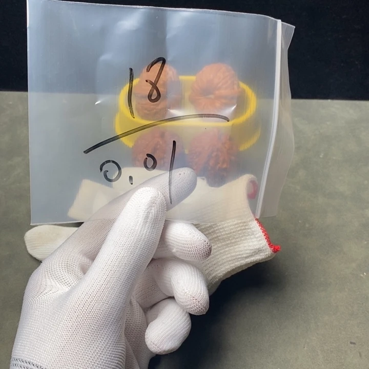 0***8核桃等经济林果的食物都可以吃