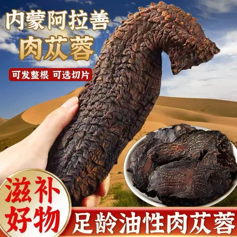 阿拉善软质肉苁蓉手选肉苁蓉整根新货肉苁蓉可切片泡水泡酒油性足