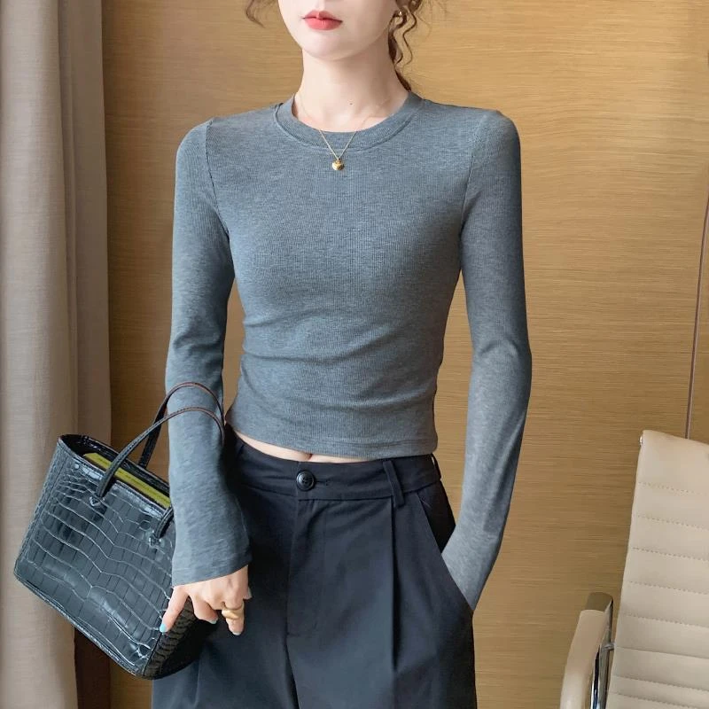 HTKD暗灰色小圆领短款磨毛打底衫女内搭秋冬2025新款修身长袖t恤