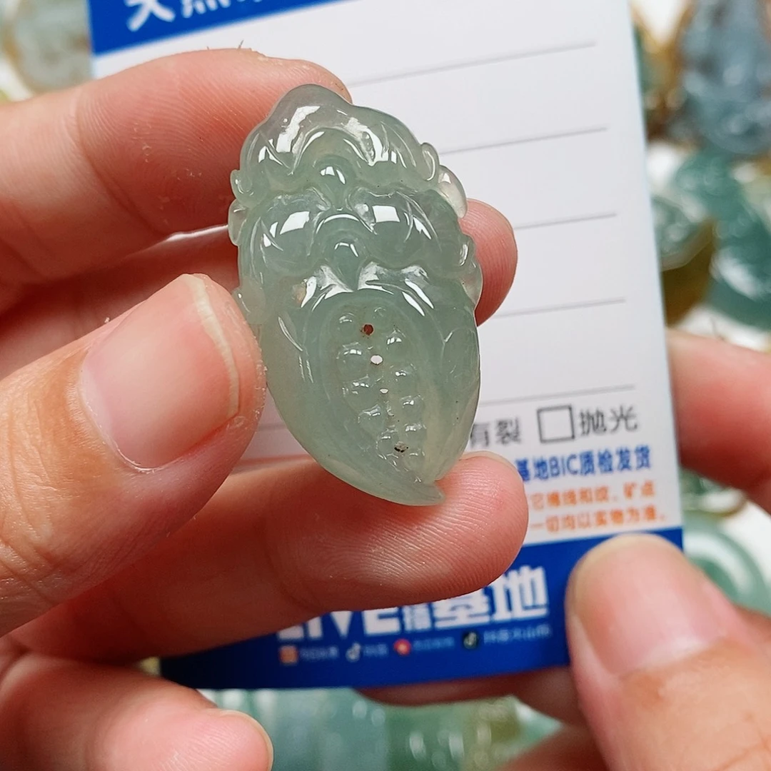 翡翠未镶嵌颈饰有钱家