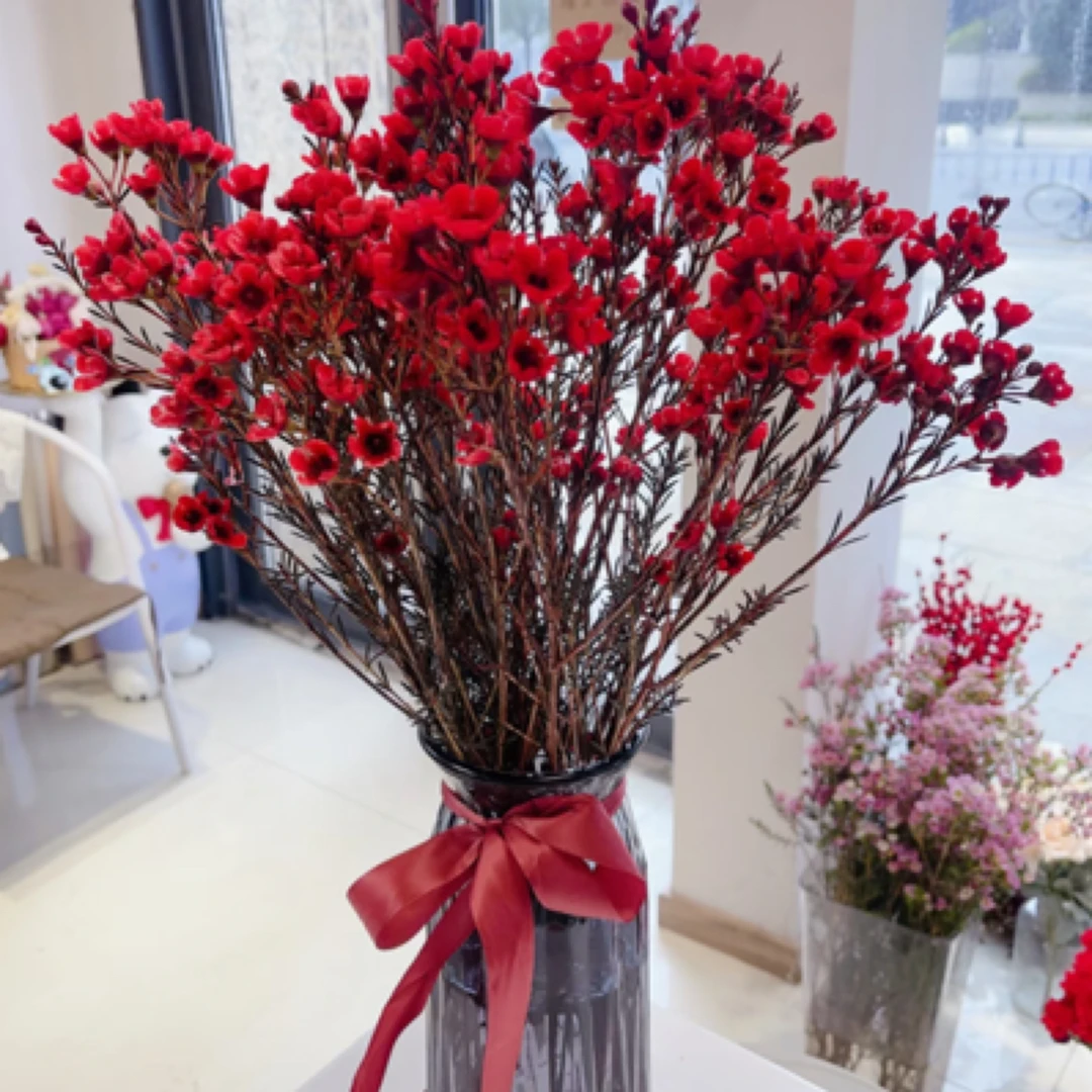 10支腊梅家居鲜花年宵花