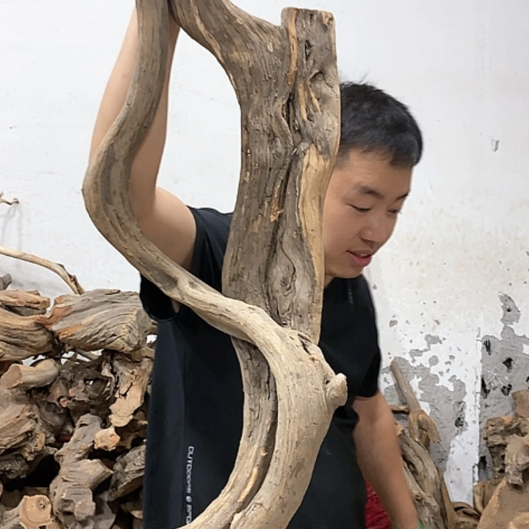 【闪购商品】柏木玩**智我们都是好孩子