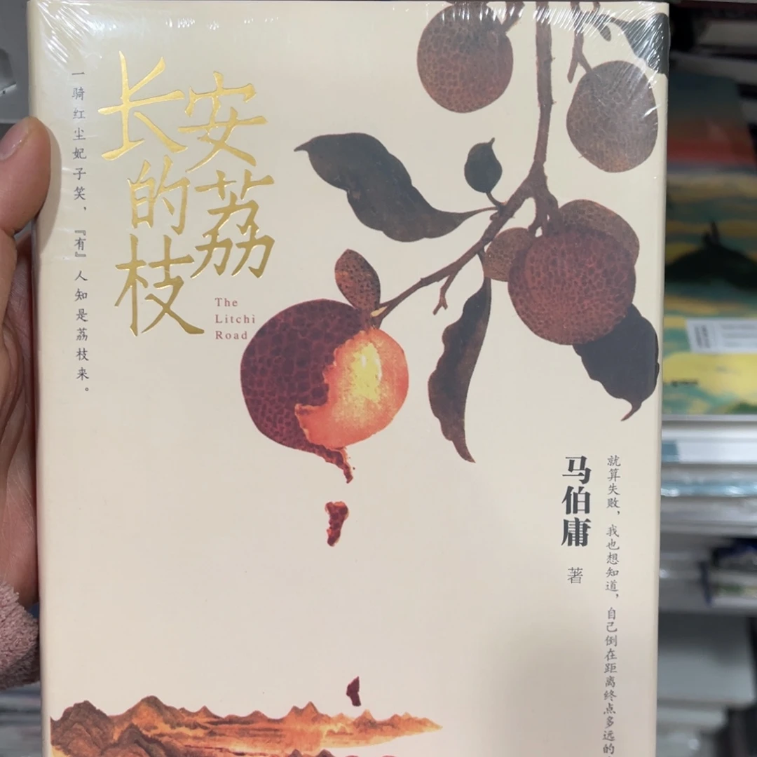 长安的荔枝精装一个