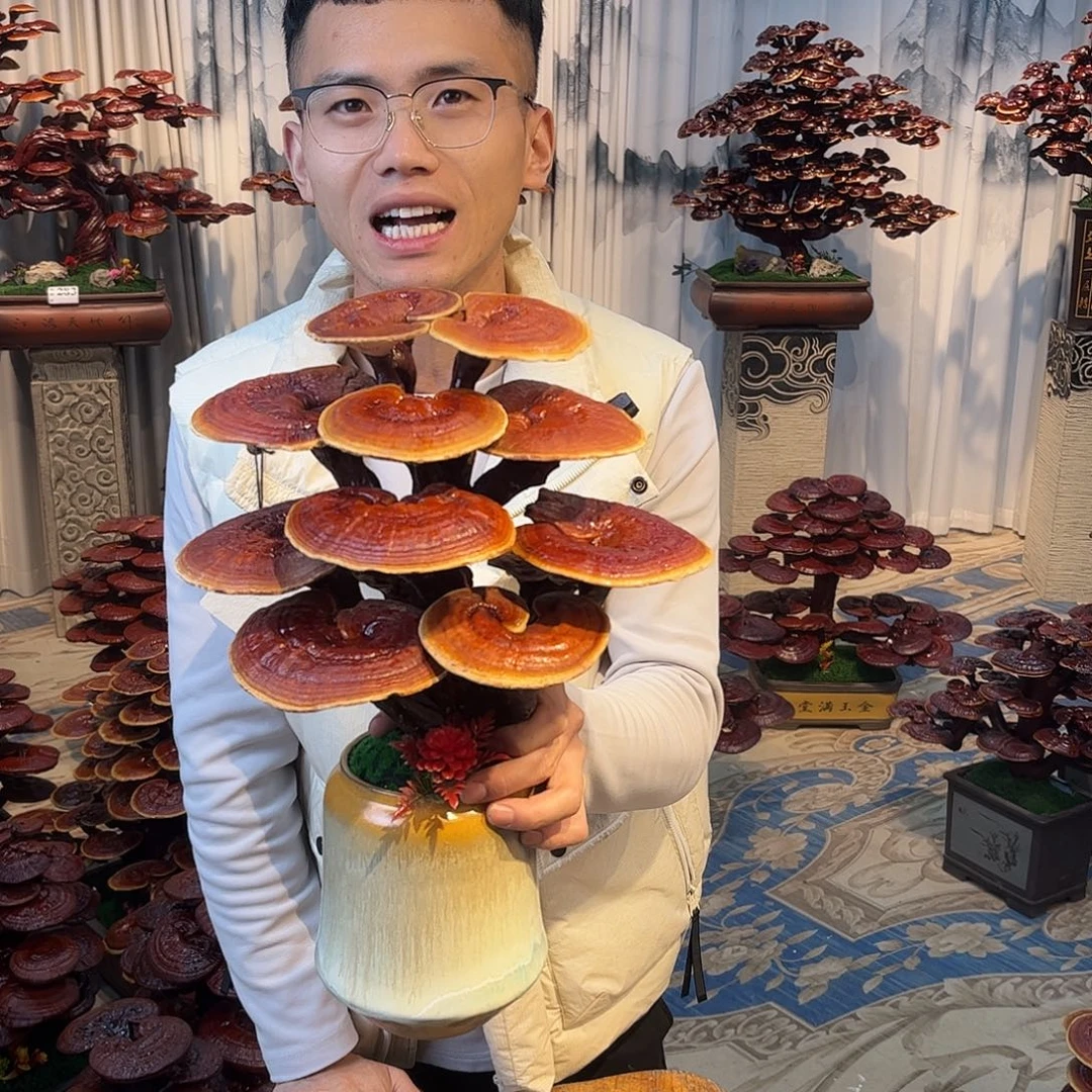 无花朵888888888888