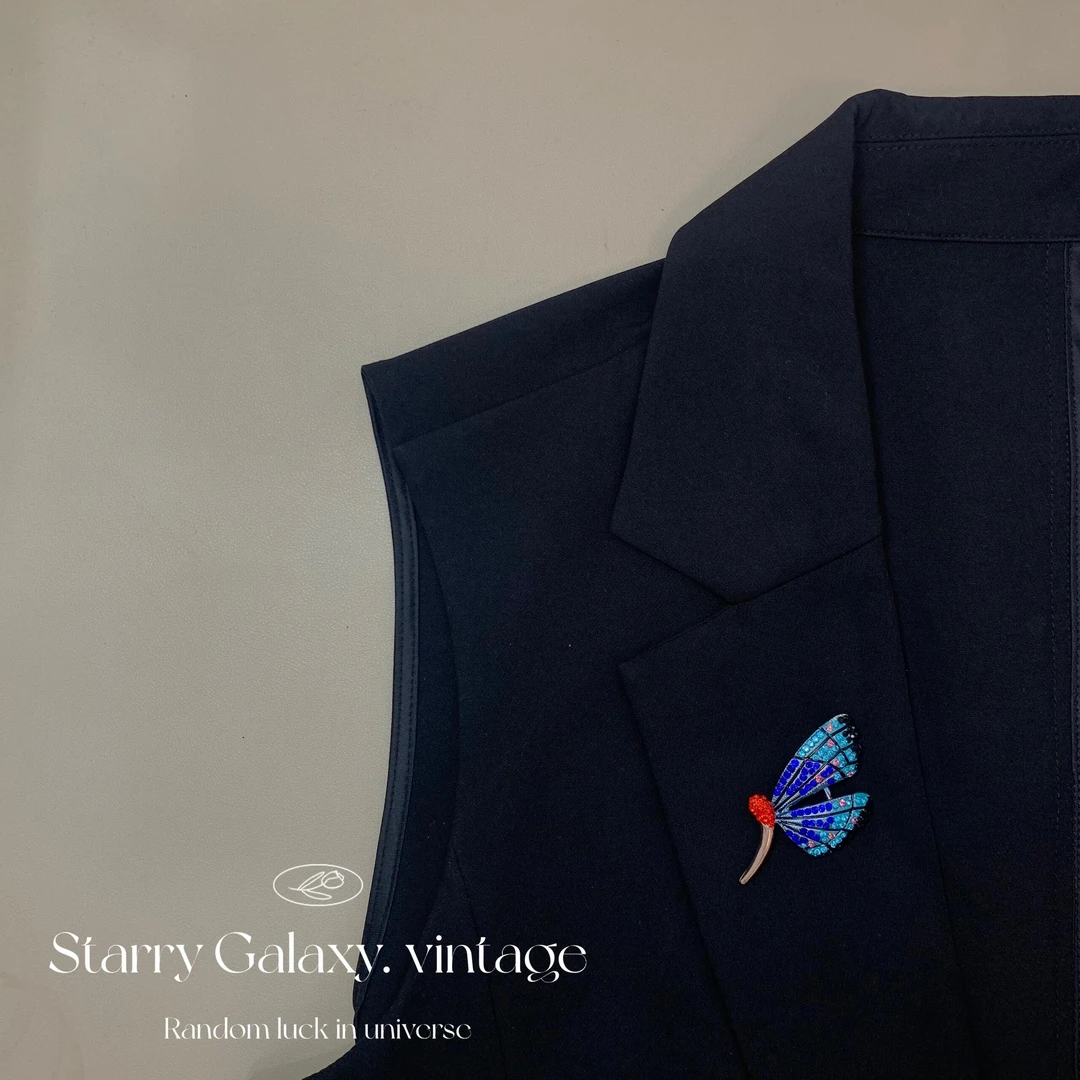 铜合金锆石胸针 vintage小众蓝红钻蜻蜓复古vintage轻奢西装胸针