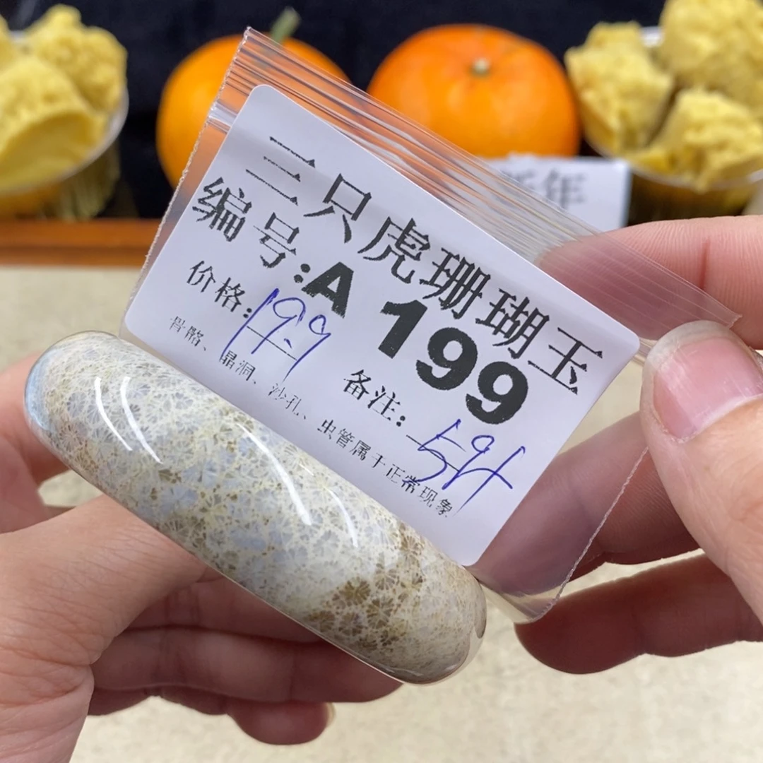 硅化珊瑚（珊瑚玉）1未镶嵌玖*