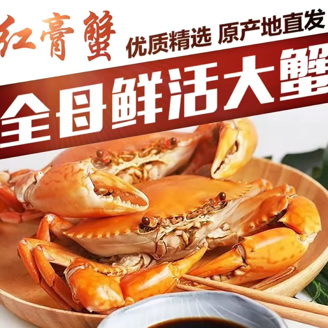 福建青蟹中红膏蟹现拍现称的