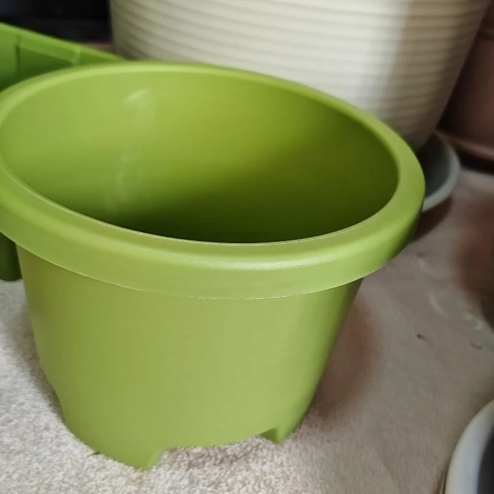 树脂球根一号外口径16.5，果绿无拖10个