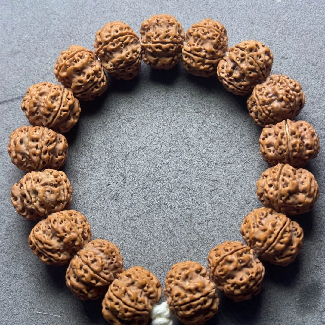 菩提16号金刚菩提矮壮原生态梅花20