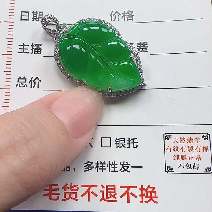 开***）翡翠18K金镶嵌颈饰天然