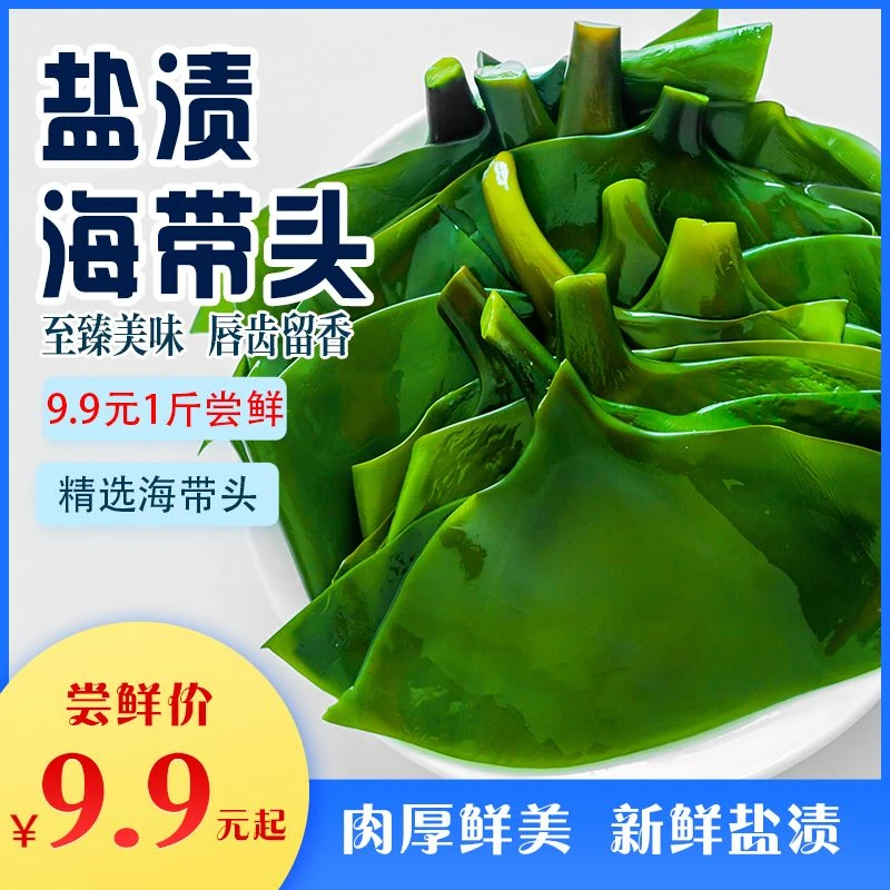 1斤/5斤大连新鲜盐渍海带头肉厚炖菜煲汤非干货